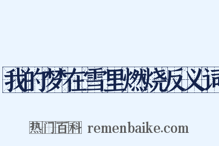 我的梦在雪里燃烧反义词是什么意思的图片